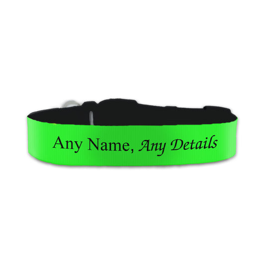 Personalised Small Dog Collar with Green Background Image 1
